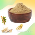 Panax Ginseng Extract Powder Panax Ginseng Root Extract/ Ginseng Extract 80% Ginsenosides Supplier